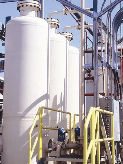 PSA Biogas Purification