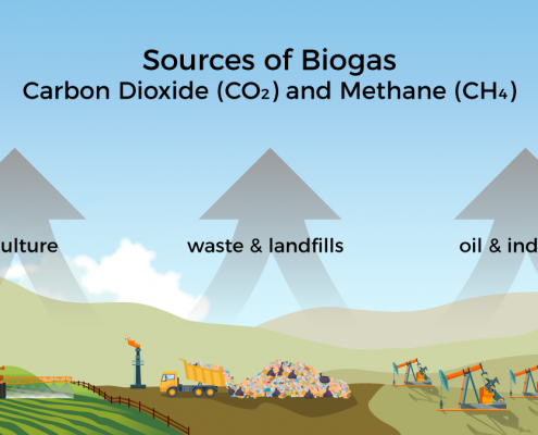 Common Sources of Biogas