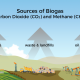 Common Sources of Biogas