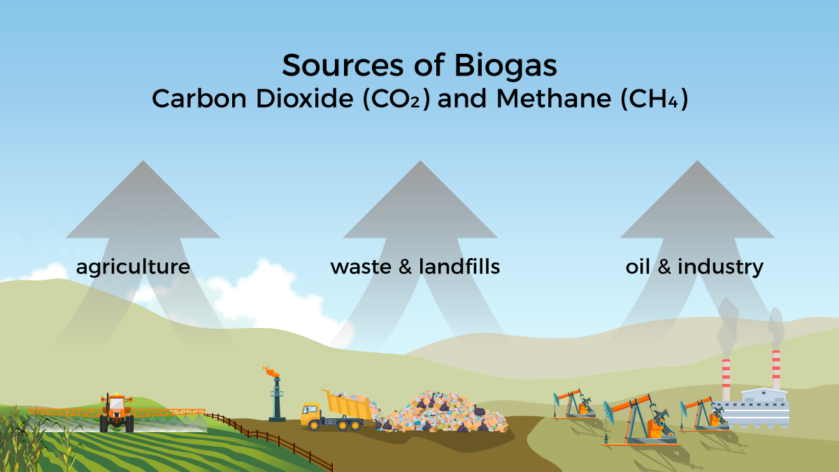 Common Sources of Biogas